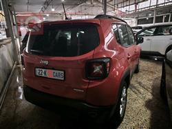 جيب رينيجيد